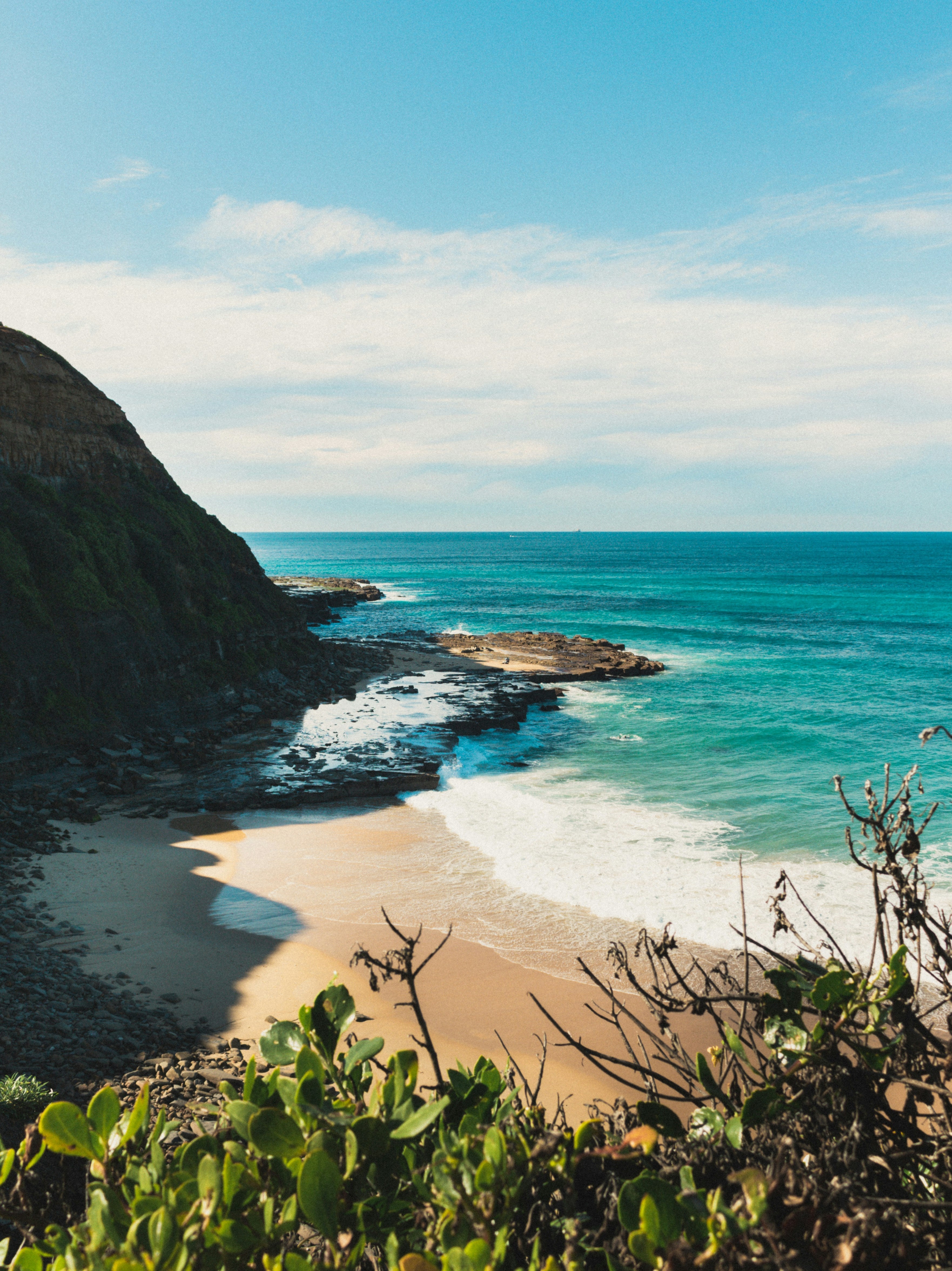 Wait, Who's Bluey? The Story Behind Our Name